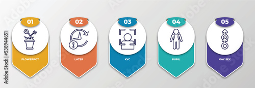 infographic template with outline icons. thin line icons such as flowerpot, later, kyc, pupil, gay sex editable vector. can be used for web, mobile, info graph.