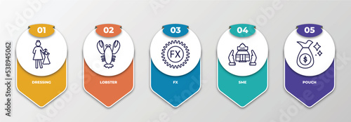 infographic template with outline icons. thin line icons such as dressing, lobster, fx, sme, pouch editable vector. can be used for web, mobile, info graph.