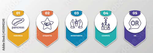 infographic template with outline icons. thin line icons such as pancreas, etiquette, investments, compete, or editable vector. can be used for web, mobile, info graph.