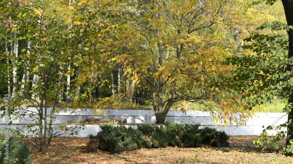 Autumn in city park with falling leaves