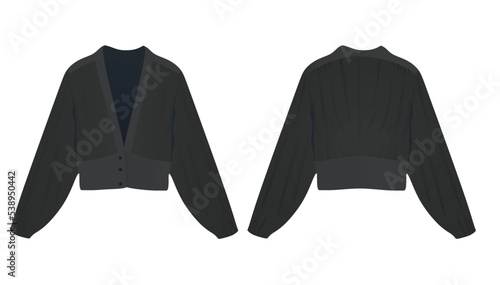 Long sleeve sweater. vector illustration