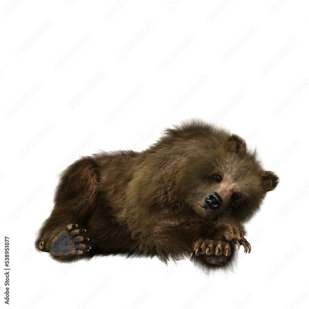 Fototapeta premium 3D illustration of a brown bear relaxing isolated on transparent background.