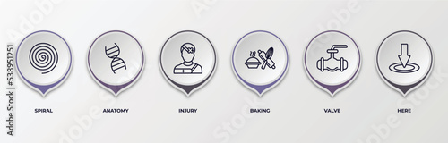 infographic template with outline icons. thin line icons such as spiral, anatomy, injury, baking, valve, here editable vector. can be used for web, mobile, info graph.