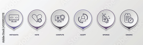 infographic template with outline icons. thin line icons such as metadata, hate, compute, adapt, sponge, grades editable vector. can be used for web, mobile, info graph.