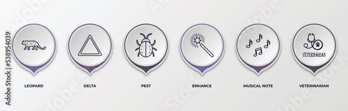 infographic template with outline icons. thin line icons such as leopard, delta, pest, enhance, musical note, veterinarian editable vector. can be used for web, mobile, info graph.