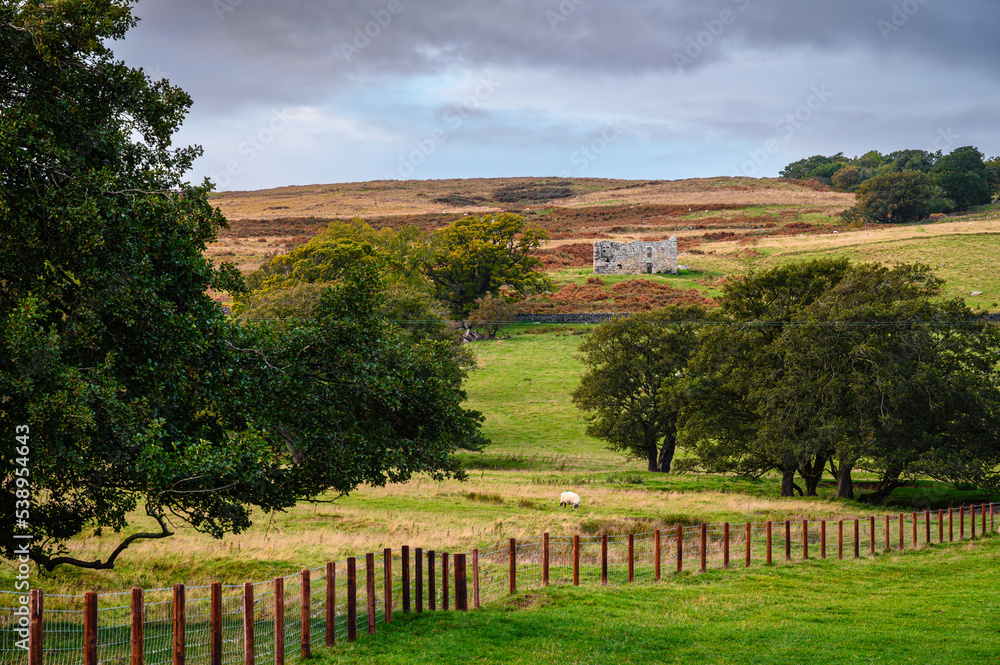 Distant View of Low Cleughs Bastle, the ruins of an early 17th century bastle or defensible farmhouse in the Anglo-Scottish Borders as protection against Border Reivers