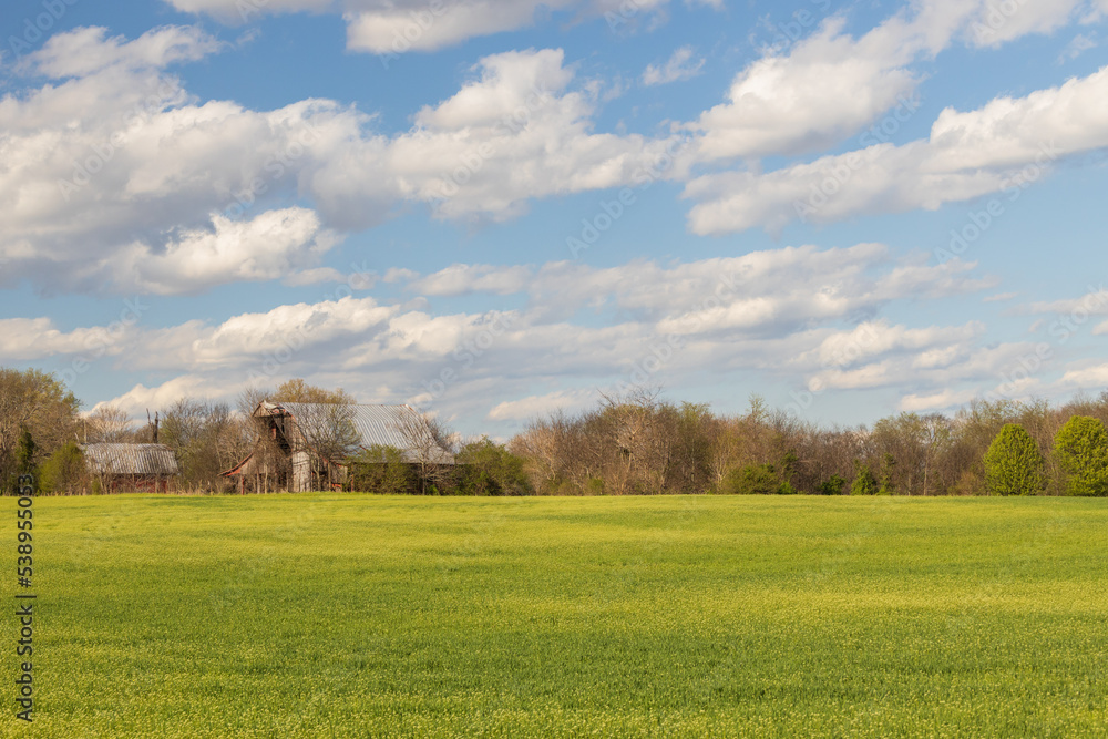 Obraz premium Barn in the field on a sunny day