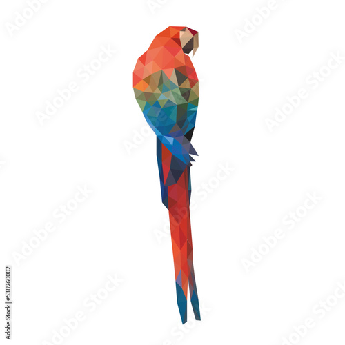 Red macaw - low poly 2D