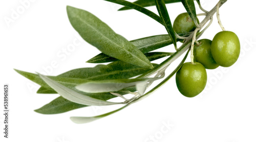 Bilde på lerret Green olives with a branch on a white background