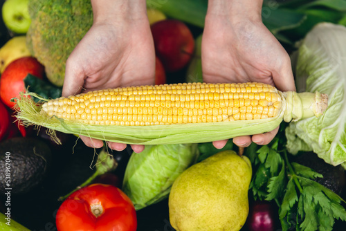 Close-up, corn in female hands and other vegetables on the kitchen table.