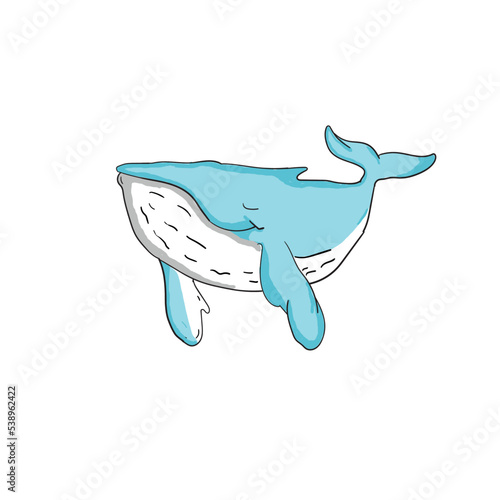 cute whale swimming in the ocean © ilham