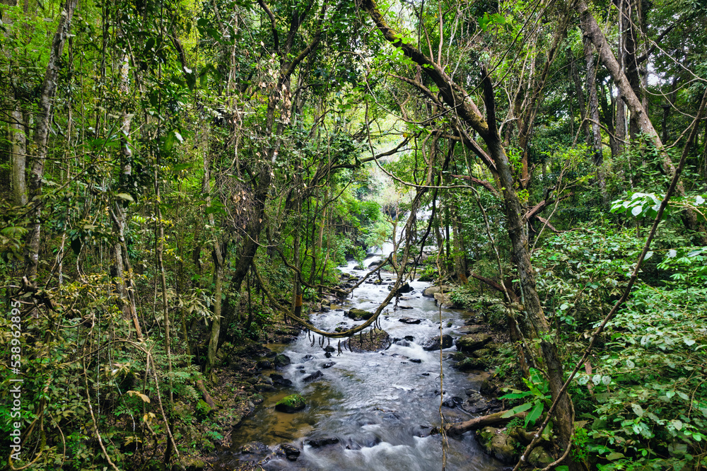 Jungle river aerial shot in Thailand Jungle river aerial shot in Thailand