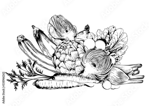 Artichoke, zucchini, eggplants and green vegetables. Black and white hand drawn vector illustration.