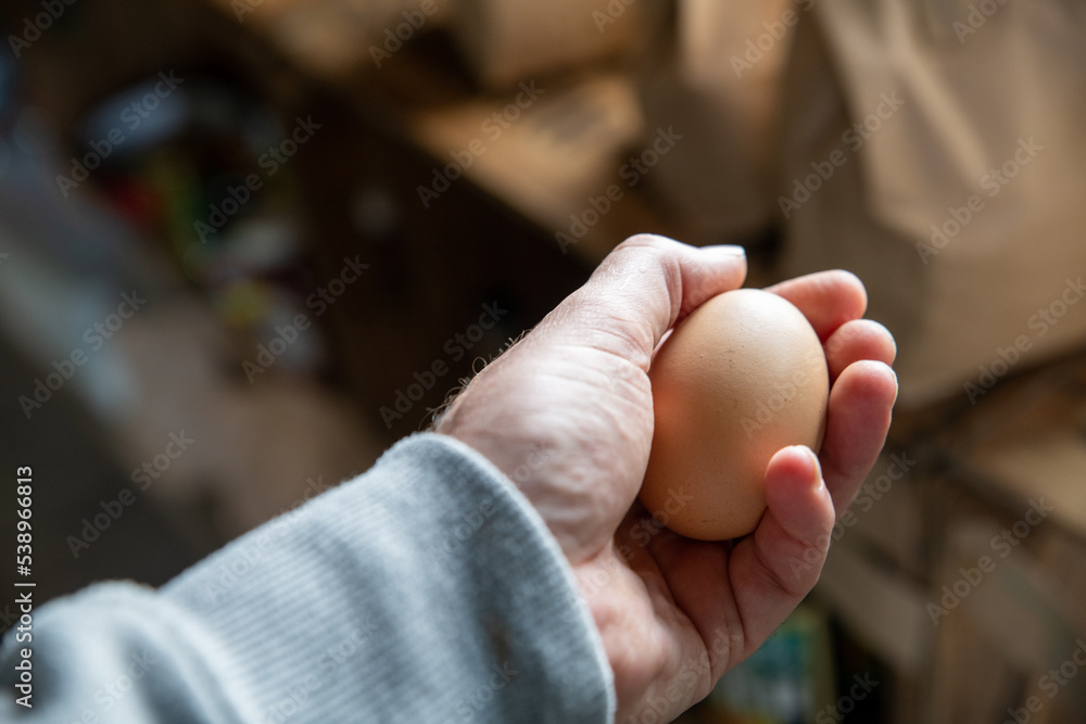 A man holding a fresh egg in his hand A man holding a fresh egg in his hand