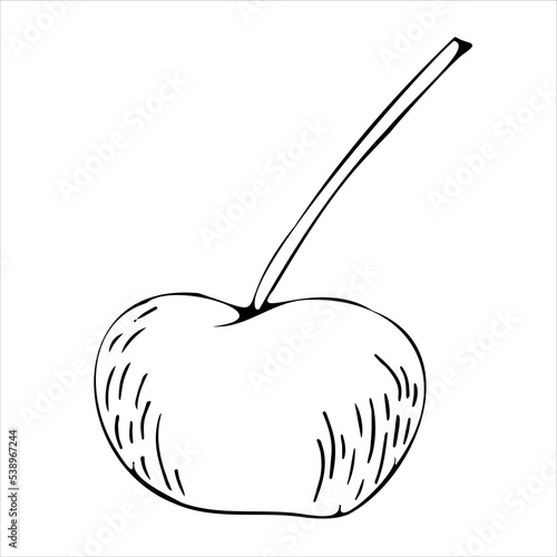 Cherry black and white vector illustration. For all your designs and decors. Suitable for making patterns, postcards, labels, packaging, covers and more.