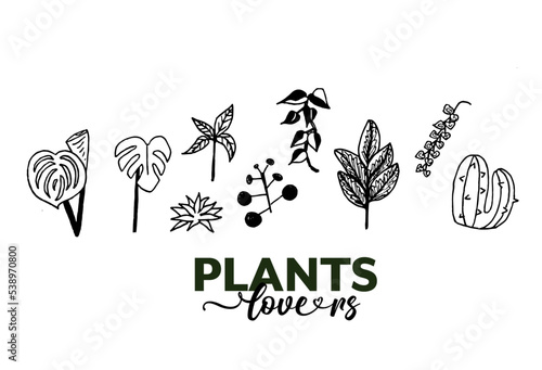 Plants lovers