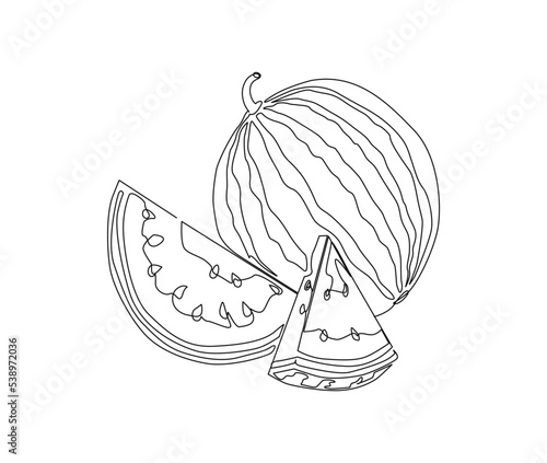 Continuous one line drawing of watermelon. single line water melon vector design. Hand drawn minimalism style.