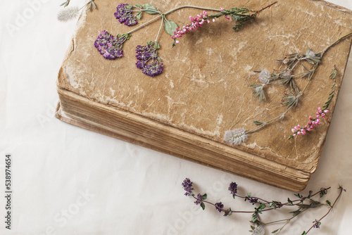 dried flowers with old book on  old paper