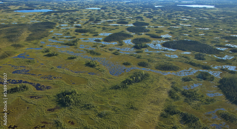 Aerial view of the landscape in Lake Clark National Park in Alaska,United States,North America
Aerial view of the landscape in Lake Clark National Park in Alaska,United States,North America