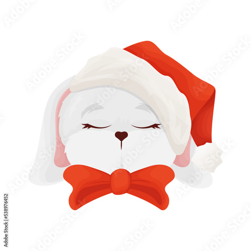 Cute muzzle of a rabbit in a santa hat, year of the rabbit, winter illustration with the symbol of the year