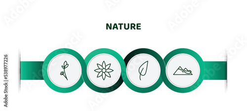 editable thin line icons with infographic template. infographic for nature concept. included lavender, clematis, acicular, snowslide icons.