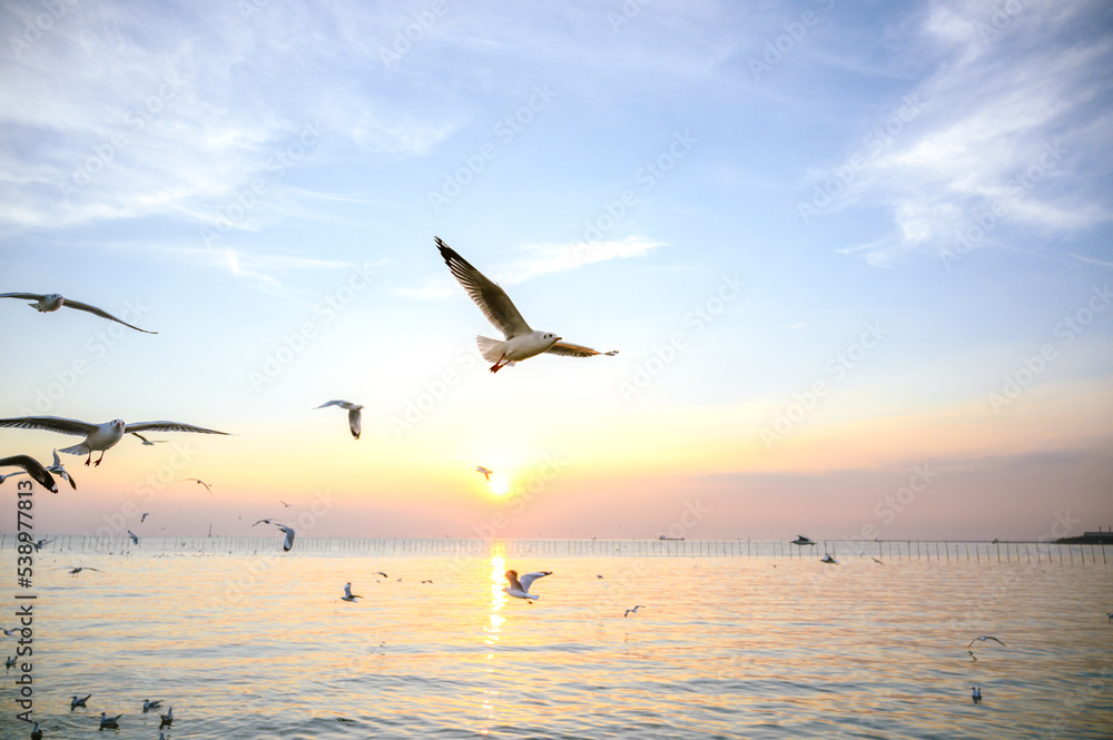 Fototapeta premium seagulls flying above the sea at beautiful sunset time with a twilight scene.