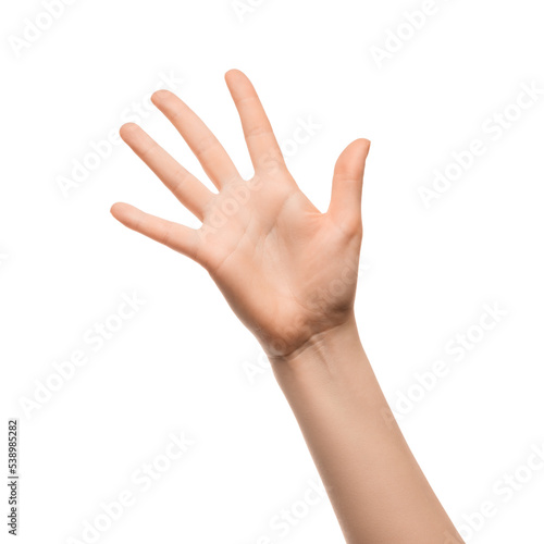 A woman's hand shows five fingers on a white background © Snizhana