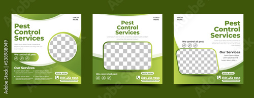 Set of Pest control services social media post template