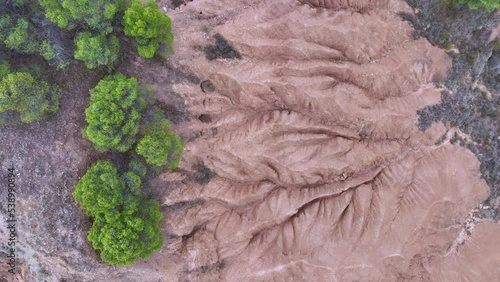 Eroded landscape and pine forests in the Cárcavas de Morata de Jiloca. Aerial view from a drone. Morata from Jiloca. Saragossa. Aragon. Spain. Europe photo