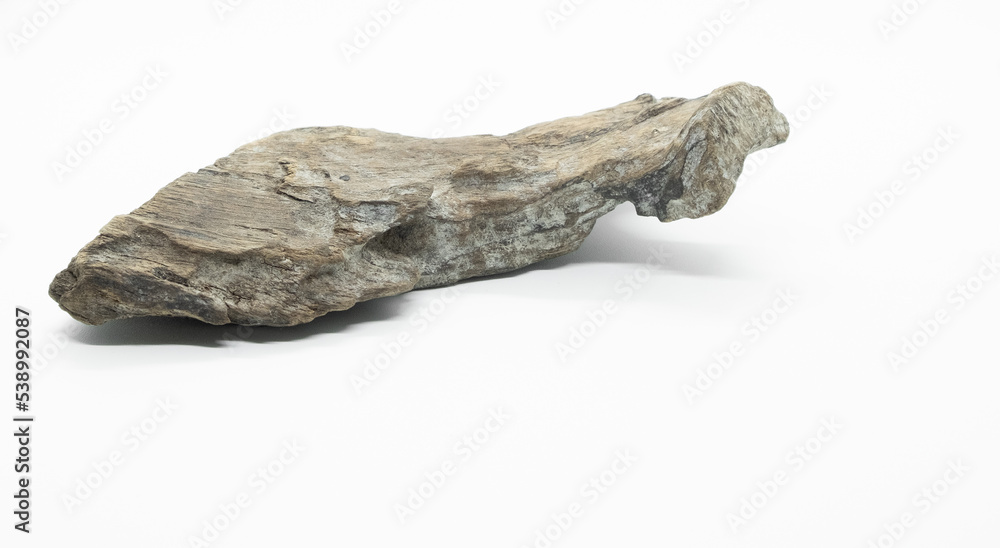 Part of dry tree log, isolated on white background. stick tree wall mural Part of dry tree log, isolated on white background. stick tree wall mural