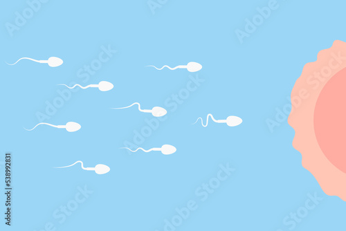 The movement of spermatozoa towards the female egg. Active male reproductive cells. The concept of fertilization.