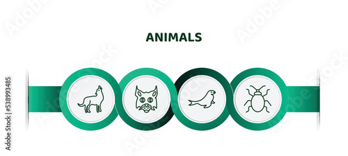 editable thin line icons with infographic template. infographic for animals concept. included coyote, pallas cat, sea lion, bedbug icons.