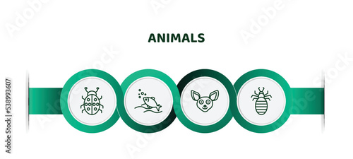 editable thin line icons with infographic template. infographic for animals concept. included ladybird, fishes in the ocean, chihuahua, louse icons.