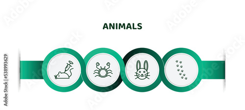 editable thin line icons with infographic template. infographic for animals concept. included animal testing, crab, cute bunny head, pawprints icons.