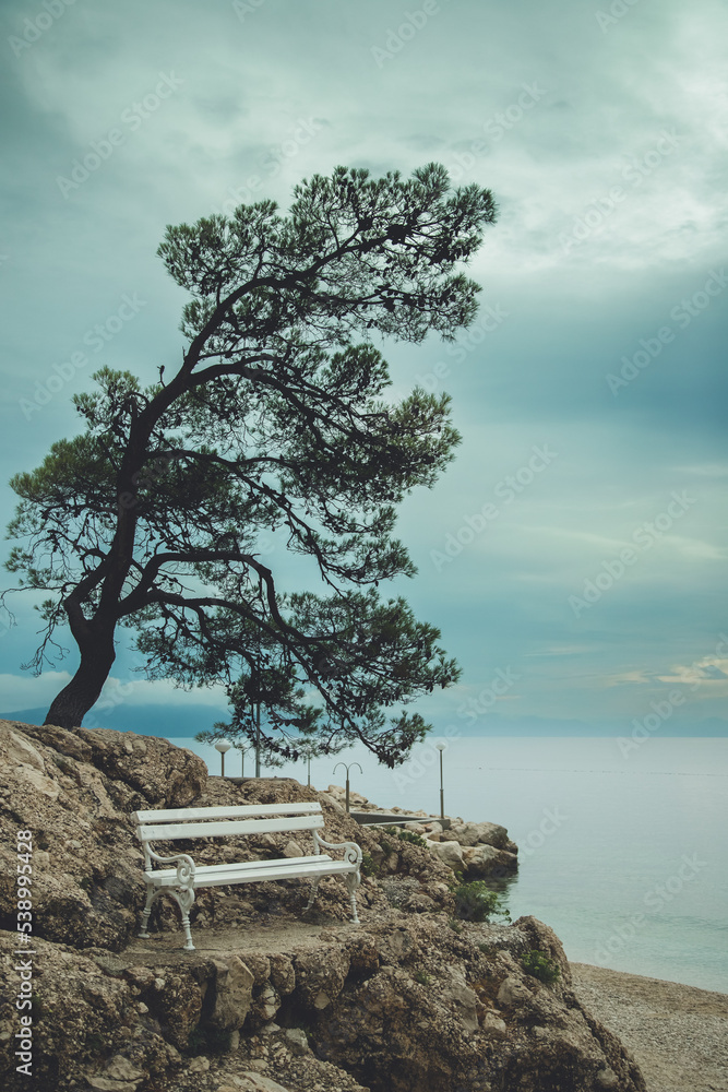 Ławka na skałach w Chorwacji u wybrzeży Adriatyku  - obrazy, fototapety, plakaty 