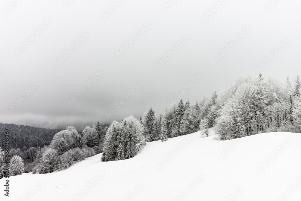 Krajobraz zimowy w górach - obrazy, fototapety, plakaty 