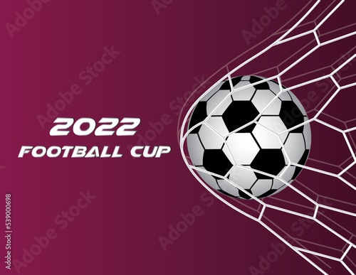 football in goal net vector illustration