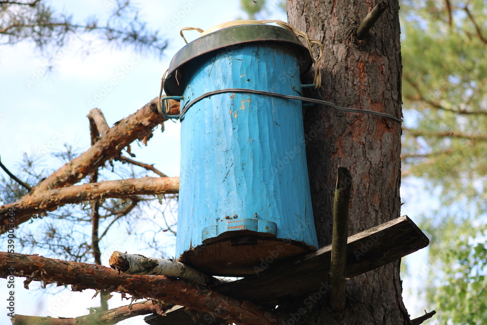 Fototapeta premium A hive for extracting honey from fields and forests