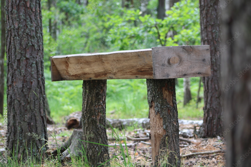 Feeder for wild animals in the forest