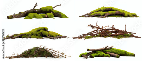 overgrown branches,  collection of natural piles with moss and lichen, isolated on white background photo
