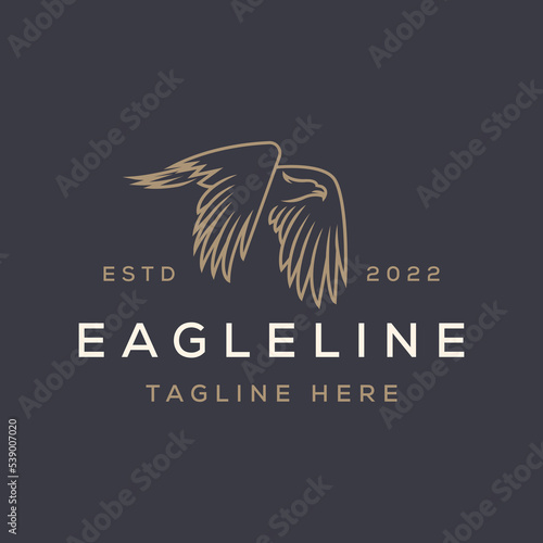 Retro Eagle Head Logo Design Vector