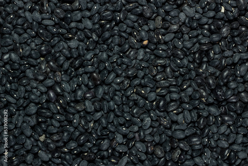 bulk black bean pile, mexican agriculture and gastronomy