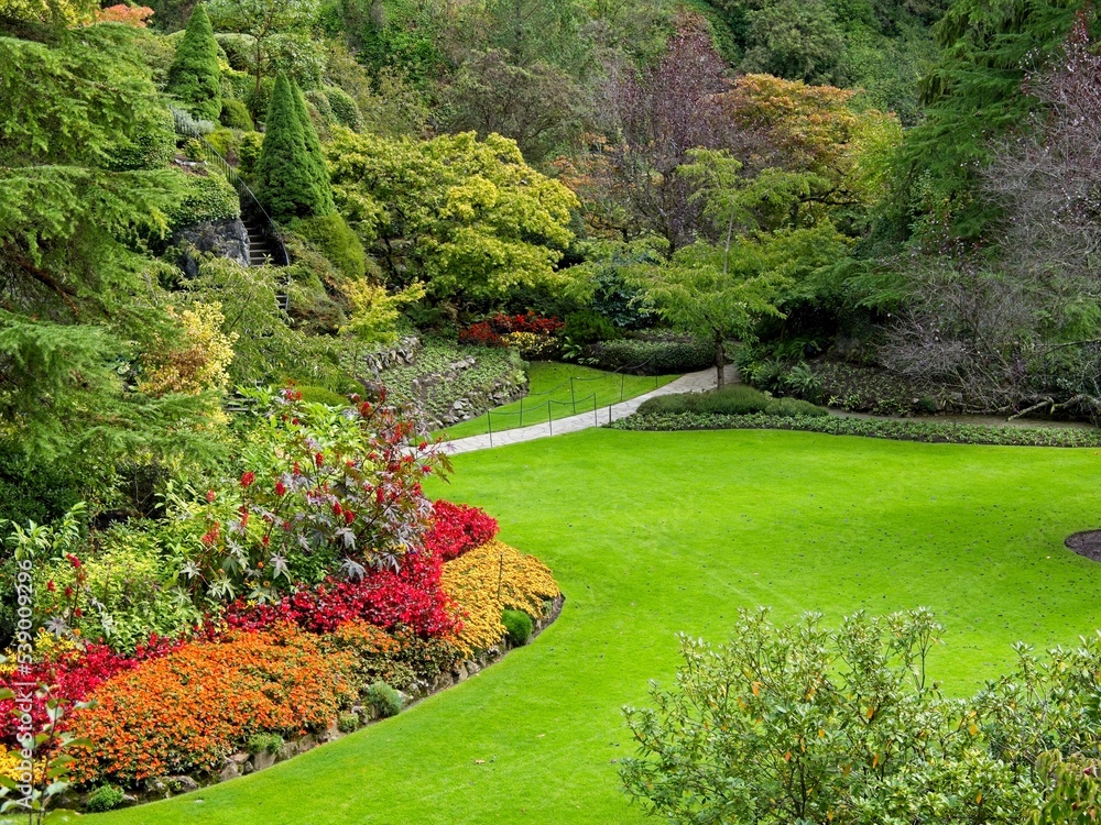 Obraz premium Flower bed with red, orange and yellow flowers