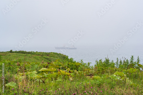 view from a high grassy seashore on a foggy day  a ship in the sea is visible through the fog