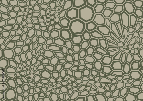 Seamless pattern with hexagonal flat ornament texture. Chaotic scales endless skin. Vector background.