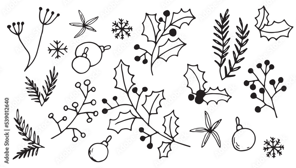 vector drawing in doodle style. set of christmas plants. holly, spruce branches, winter berries vector drawing in doodle style. set of christmas plants. holly, spruce branches, winter berries