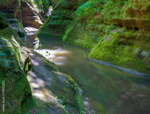 Beautiful nature of the Starved Rock state park in Illinois with rich vegetation photo