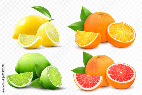 Fotografiet Set of citrus lemon, mandarin, lime, orange, grapefruit - whole, cut half and slices