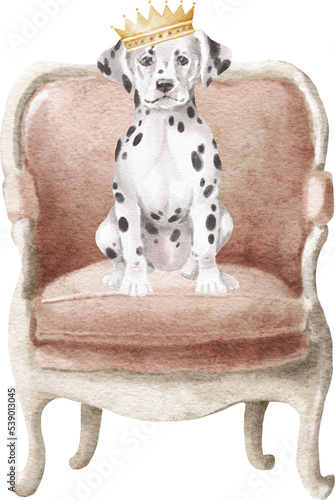 Dalmatian puppy in the chair