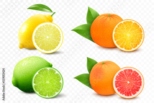 Set of citrus lemon, mandarin, lime, orange, grapefruit - whole, cut half. Fresh sour citrus fruit with vitamins. Realistic 3d vector illustration isolated on white background